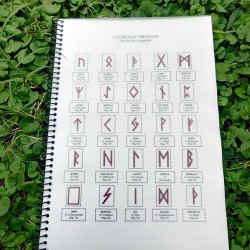 Manual interpretación runas